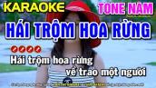 Hái Trộm Hoa Rừng Karaoke Nhạc Sống Tone Nam - Bến Hẹn Karaoke