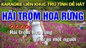 HÁI TRỘM HOA RỪNG Karaoke Nhạc Sống Tone Nam ( BEAT CHUẨN ) - Tình Trần Organ