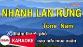 Karaoke Nhánh Lan Rừng Tone Nam Nhạc Sống | Nhan KTV