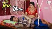 Tere Bina | Husband Wife Sad Love Story | Latest Hindi Song 2019 | Avik priya | Dream Girl Priya
