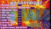 No Copyright Sound(NCS) -Lagu No Copyright_top 10 songs by ncs #3