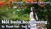 Karaoke Nỗi Buồn Hoa Phượng Tone Nam | TAS BEAT