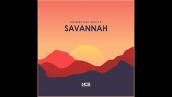 Diviners - Savannah (feat. Philly K) [Official instrumental]
