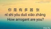 嚣张 Xiāo Zhāng (Arrogant) Lyrics 歌詞 With Pinyin \u0026 English Translation