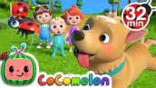 Where Has My Little Dog Gone? + More Nursery Rhymes \u0026 Kids Songs - CoComelon
