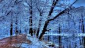 Vivaldi 4 Seasons Winter- (David Garrett )