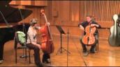 Workshop for cellists with Michel Strauss (Michal Beck, cello)