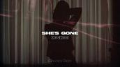 DNDM - She's Gone