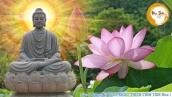 Nhạc Thiền Tịnh Tâm - Nhạc Thiền Phật Giáo Chọn Lọc Thư Giản Mới Nhất