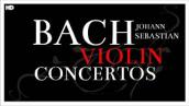 2 Hours Bach Violin Concertos | Classical Baroque Music | Focus Reading Studying