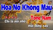 Karaoke Hoa Nở Không Màu Tone Nam | Nhạc Sống Nguyễn Linh