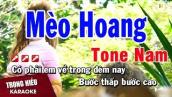 Karaoke Mèo Hoang Tone Nam Nhạc Sống | Trọng Hiếu