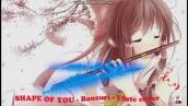 SHAPE OF YOU - Bansuri - Hoàng Anh Flute