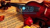 Classic Violin - For Reading, Studying, Coding, Relaxing, Focusing, more.. - 1 HOUR +