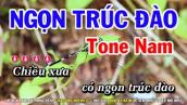 Karaoke Ngọn Trúc Đào - Tone Nam Nhạc Sống Dễ Hát | Huỳnh Lê