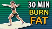 Burn Fat - Best 30 Min Home Workout Routine