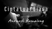 Andmesh Kamaleng - Cinta Luar Biasa ( Acoustic Karaoke )