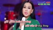 Karaoke Hoa Nở Về Đêm - Full Beat - Lưu Ánh Loan