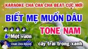 Karaoke Biết Mẹ Muốn Dâu - Cha Cha Cha Beat Chuẩn Phối Hay 2023 (Tone Nam)