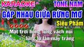 Gặp Nhau Giữa Rừng Mơ Karaoke Nhạc Sống Tone Nam ( BEAT CHUẨN ) - Tình Trần Organ