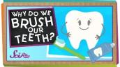 Why do We Brush Our Teeth? | Health for Kids | SciShow Kids