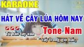 Karaoke Hát Về Cây Lúa hôm Nay Tone Nam Nhạc Sống | Trọng Hiếu