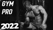 Best Workout Music Mix 👊 Gym Motivation Music 2021 👊 Workout Mix 2021#2 @Frosty Music