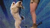 Ashleigh and Pudsey - Britain