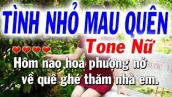 Karaoke Tình Nhỏ Mau Quên Tone Nữ Cha Cha ( La Thứ - Dễ hát ) Nhạc Sống Tuyết Nhi