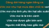 Chuyen Karaoke - Thùy Chi - CaoCuongPro
