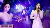 Mùa Pensée Nở (St: Ngọc Sơn) - Phương Anh | Official 4K MV