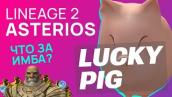 Повезло 2. Лаки Пиг л2. Lucky Pig Lineage 2. Lucky Pig Scryde. Lucky Pig l2 карта.