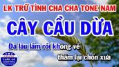 Karaoke Liên Khúc Nhạc Sống Cha Cha Tone Nam || Cây Cầu Dừa || Tình Nhỏ Mau Quên