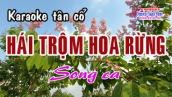 Karaoke Tân cổ HÁI TRỘM HOA RỪNG - SONG CA [Beat hay]
