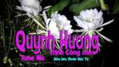 karaoke Quỳnh Hương (tone Nữ)🎤