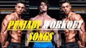 Top Punjabi Workout Songs I Top Workout Songs I Top Gym Songs I Best Gym Songs - Dev Fitness World