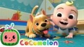 Pet Care Song | CoComelon Nursery Rhymes \u0026 Kids Songs