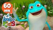 The Frog Song - Educational Songs for Children | LooLoo Kids