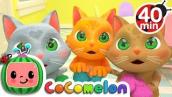 Three Little Kittens + More Nursery Rhymes \u0026 Kids Songs - CoComelon