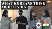 What Koreans think about India |  Young Koreans love Indian Food!
